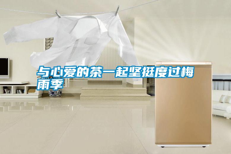 與心愛的茶一起堅(jiān)挺度過梅雨季