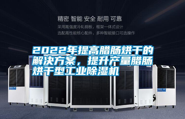 2022年提高臘腸烘干的解決方案,提升產(chǎn)量臘腸烘干型工業(yè)除濕機(jī)
