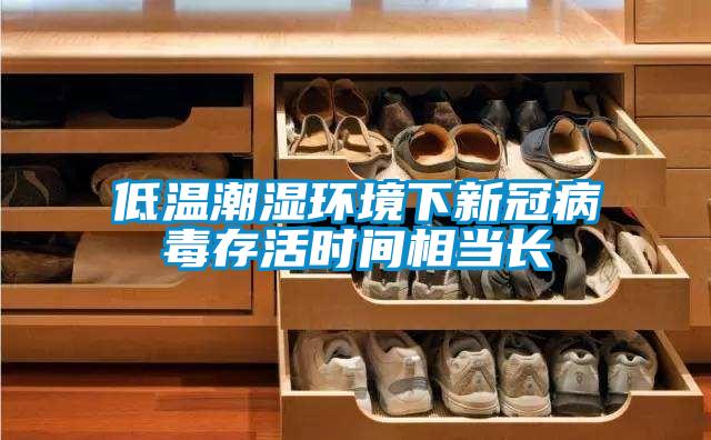 低溫潮濕環(huán)境下新冠病毒存活時間相當(dāng)長