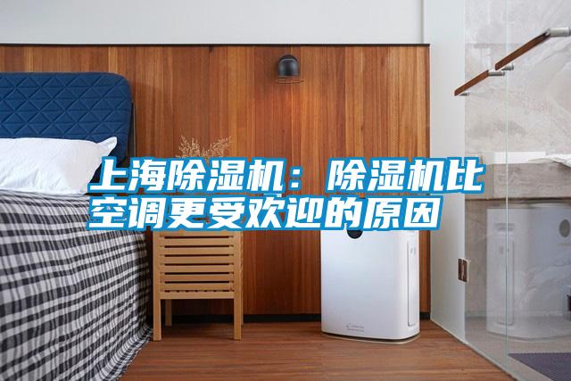 上海除濕機:除濕機比空調(diào)更受歡迎的原因