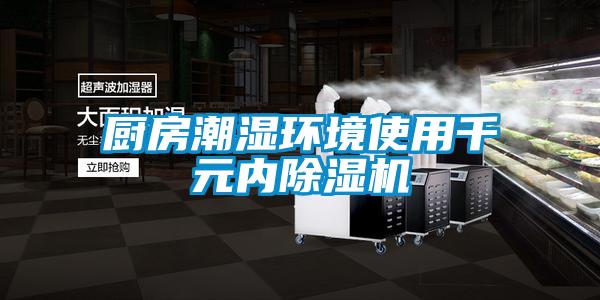 廚房潮濕環(huán)境使用千元內除濕機