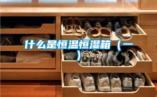 什么是恒溫恒濕箱(一)