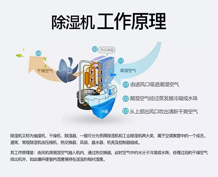冷庫消毒用什么好？冷庫霧化消毒機