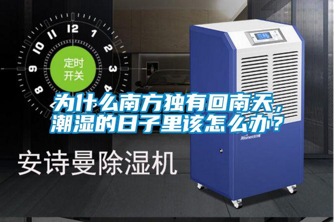 為什么南方獨有回南天，潮濕的日子里該怎么辦？
