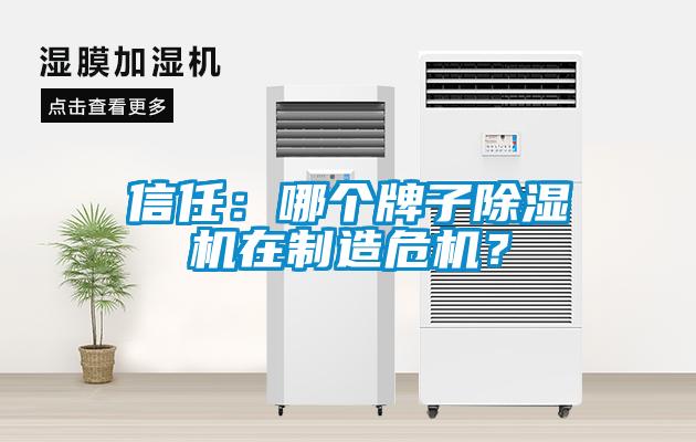 信任：哪個牌子除濕機在制造危機？
