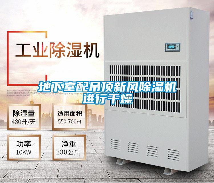 地下室配吊頂新風(fēng)除濕機進行干燥