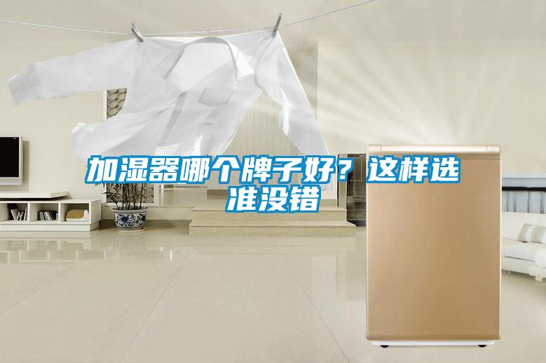 加濕器哪個牌子好?這樣選準(zhǔn)沒錯