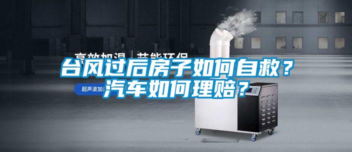 臺風過后房子如何自救？汽車如何理賠？