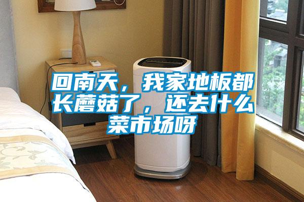 回南天,我家地板都長蘑菇了,還去什么菜市場呀
