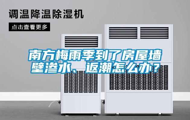 南方梅雨季到了房屋墻壁滲水、返潮怎么辦?