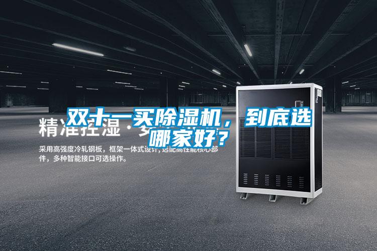 雙十一買除濕機，到底選哪家好？