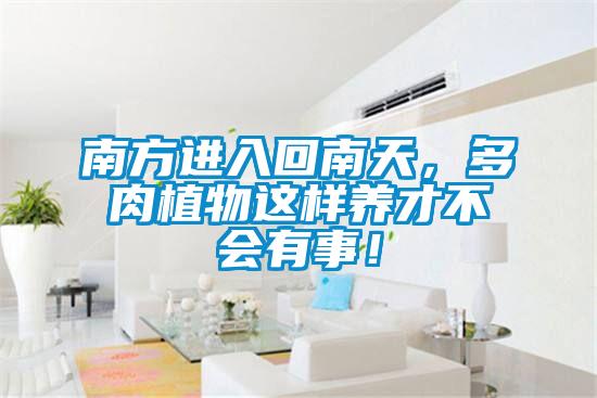 南方進入回南天，多肉植物這樣養才不會有事！