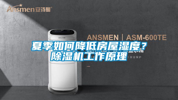 夏季如何降低房屋濕度?除濕機工作原理
