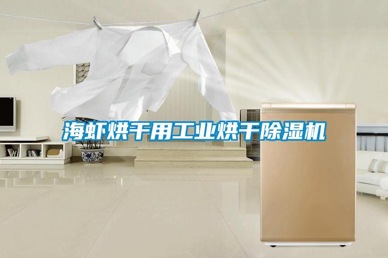 海蝦烘干用工業烘干除濕機