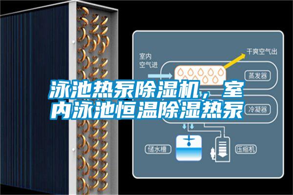 泳池熱泵除濕機,室內(nèi)泳池恒溫除濕熱泵