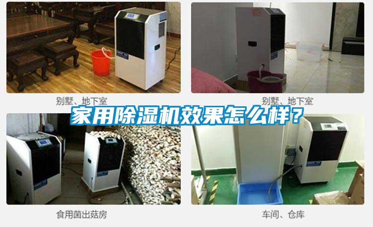 家用除濕機效果怎么樣?