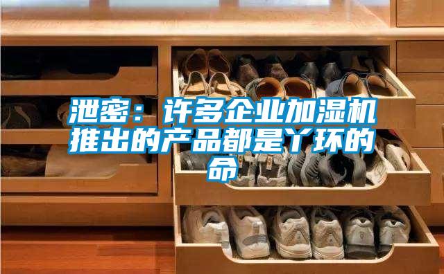 泄密:許多企業(yè)加濕機推出的產(chǎn)品都是丫環(huán)的命