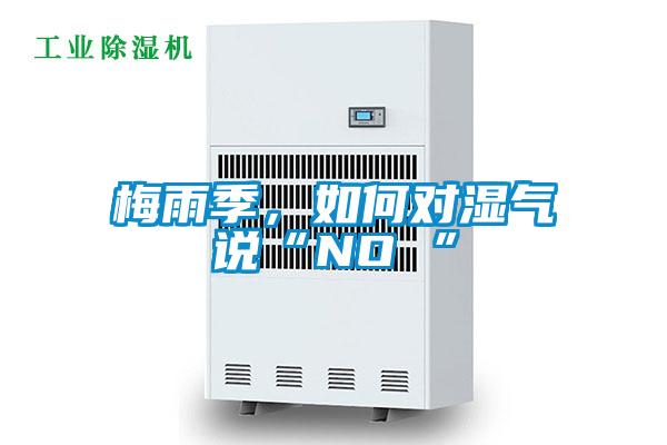 梅雨季,如何對(duì)濕氣說(shuō)“NO ”