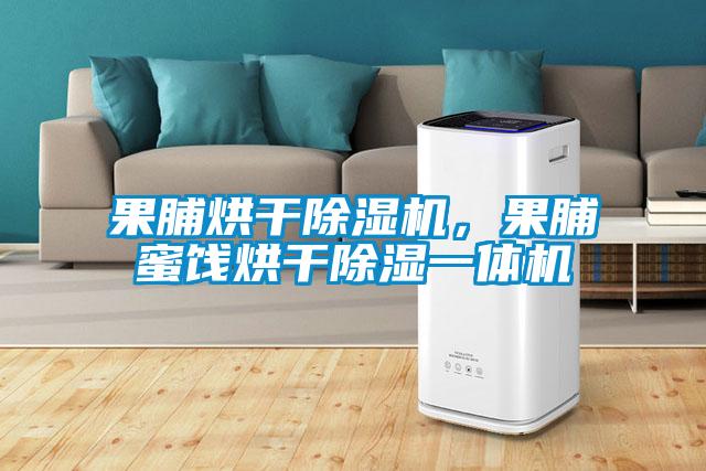 果脯烘干除濕機,果脯蜜餞烘干除濕一體機