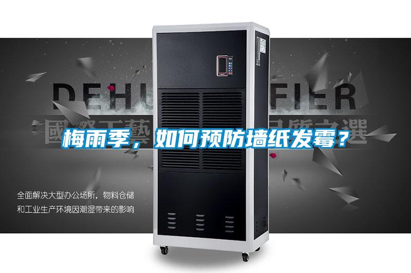 梅雨季，如何預防墻紙發霉？