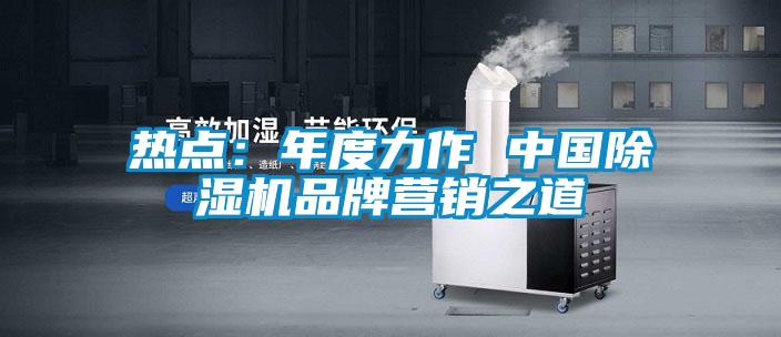 熱點(diǎn):年度力作 中國(guó)除濕機(jī)品牌營(yíng)銷(xiāo)之道