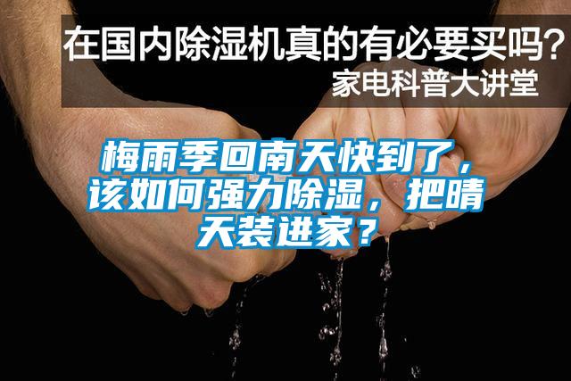 梅雨季回南天快到了,該如何強力除濕,把晴天裝進家?