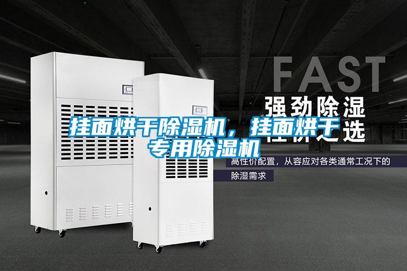 掛面烘干除濕機,掛面烘干專用除濕機
