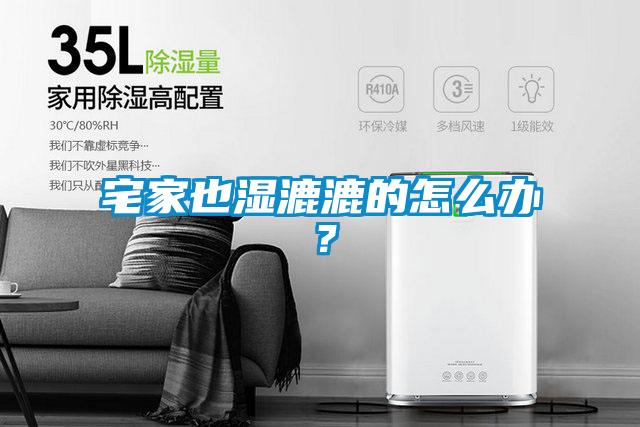 宅家也濕漉漉的怎么辦？
