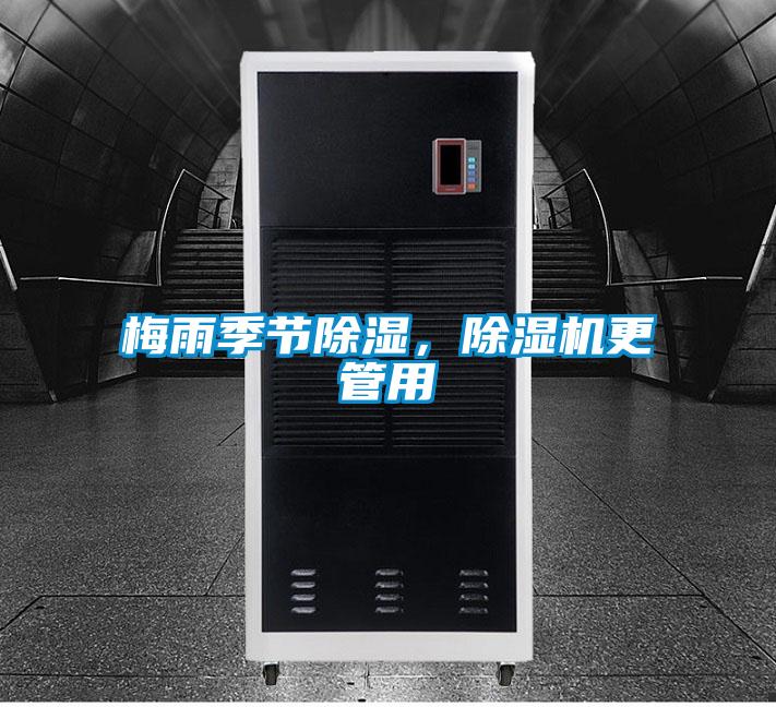梅雨季節除濕,除濕機更管用