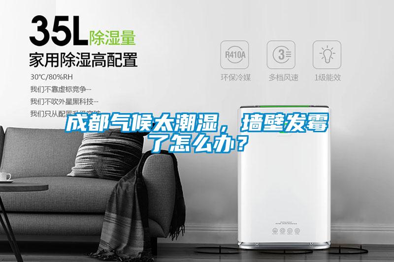 成都氣候太潮濕,墻壁發霉了怎么辦?