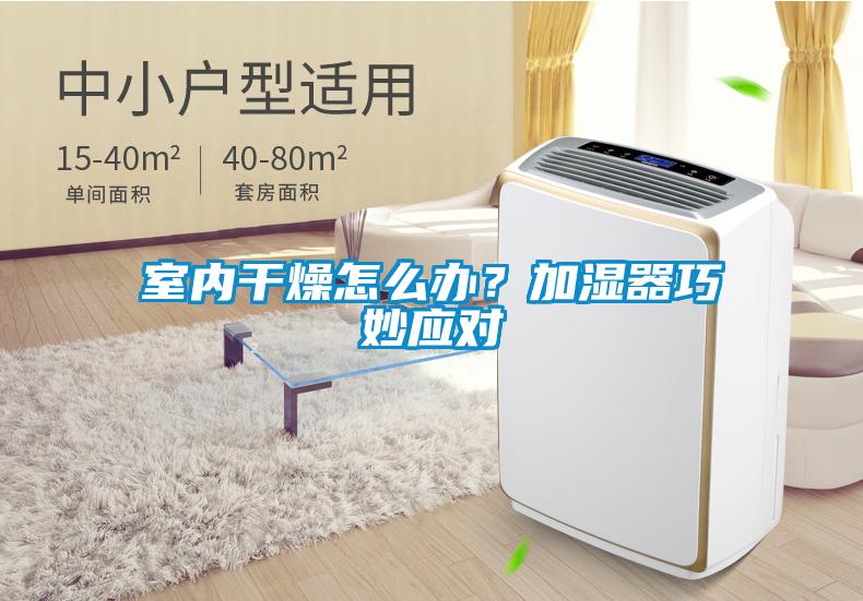 室內干燥怎么辦?加濕器巧妙應對