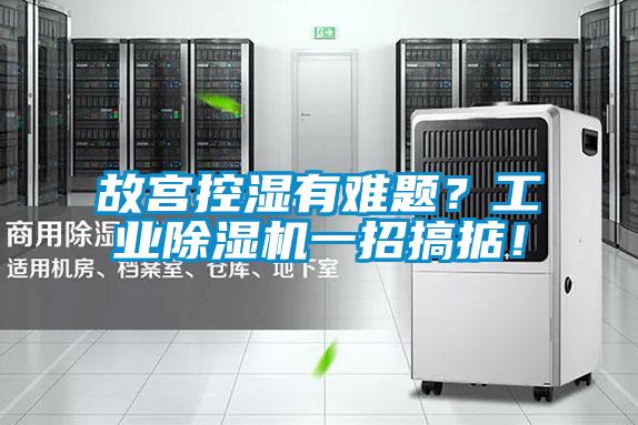 故宮控濕有難題?工業(yè)除濕機一招搞掂!