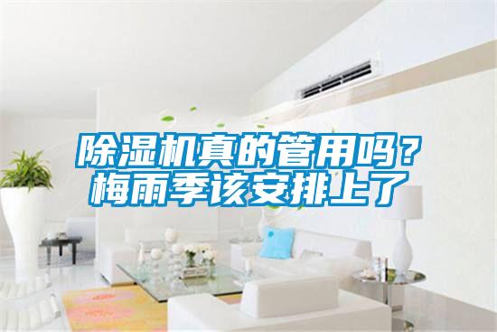 除濕機(jī)真的管用嗎？梅雨季該安排上了