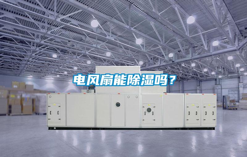 電風(fēng)扇能除濕嗎?
