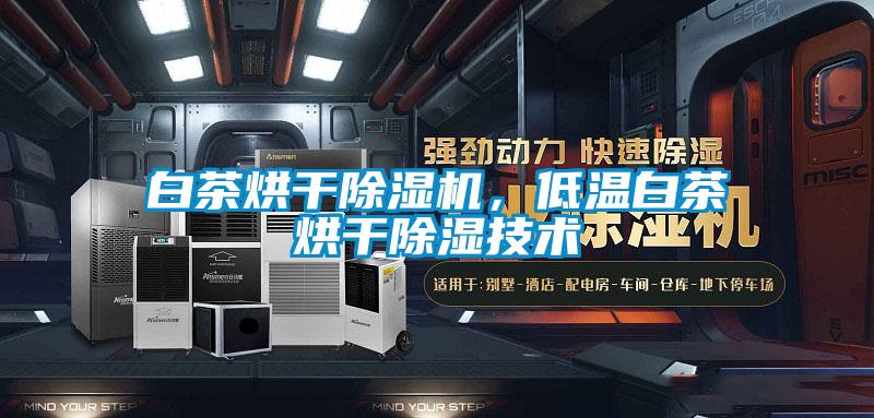 白茶烘干除濕機，低溫白茶烘干除濕技術(shù)