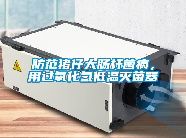 防范豬仔大腸桿菌病，用過(guò)氧化氫低溫滅菌器