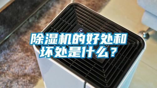 除濕機的好處和壞處是什么?