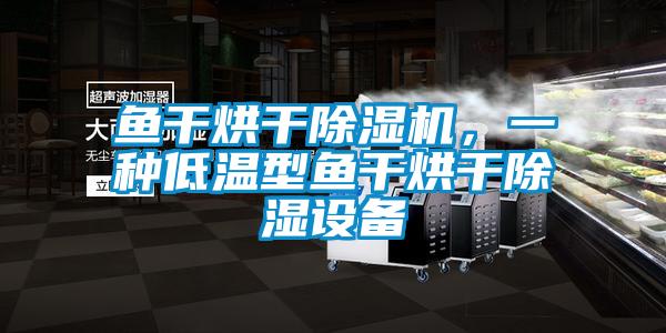 魚干烘干除濕機,一種低溫型魚干烘干除濕設備