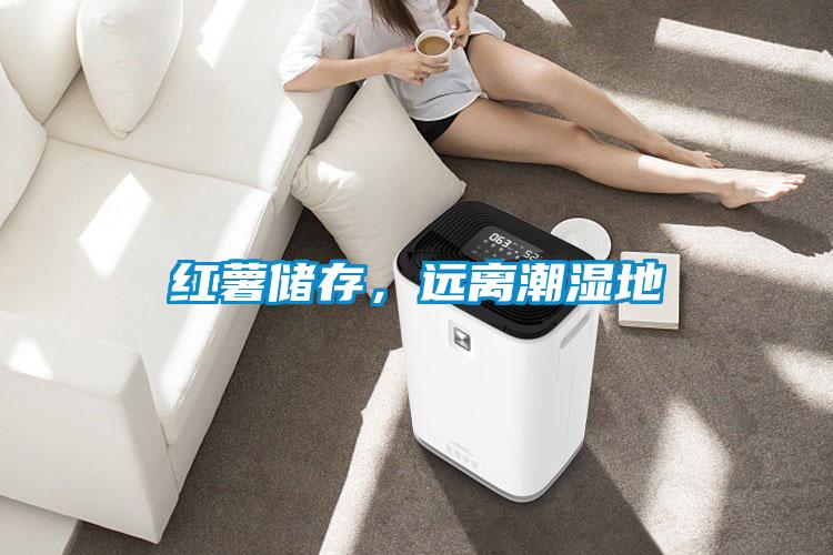 紅薯儲(chǔ)存，遠(yuǎn)離潮濕地