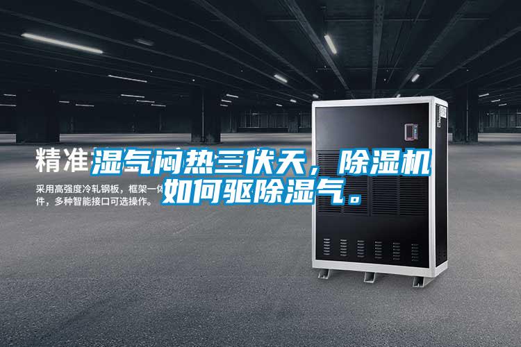 濕氣悶熱三伏天,除濕機如何驅除濕氣。