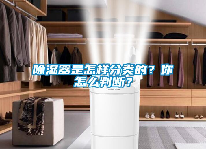 除濕器是怎樣分類的？你怎么判斷？