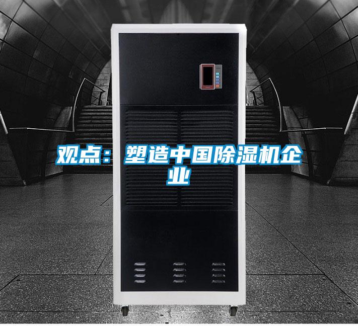 觀點:塑造中國除濕機企業(yè)