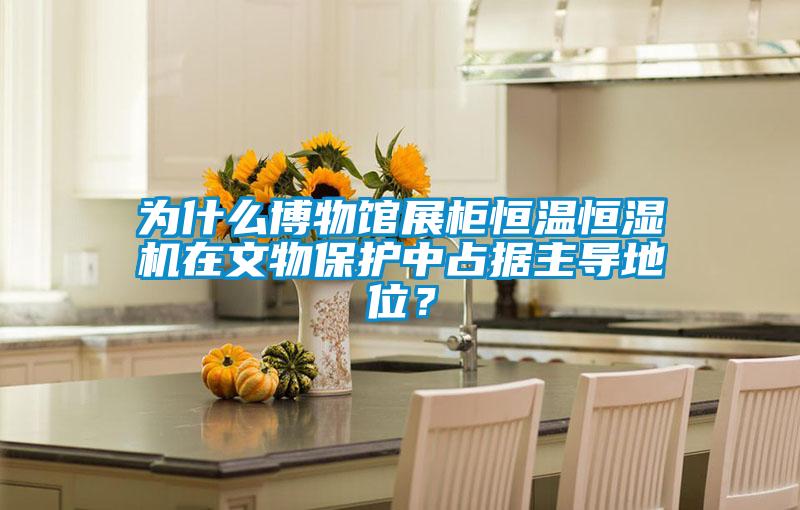 為什么博物館展柜恒溫恒濕機在文物保護中占據(jù)主導地位?
