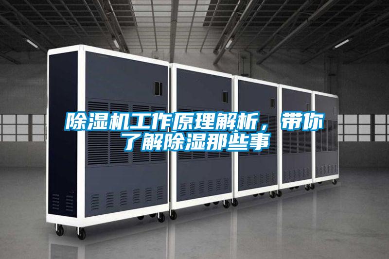 除濕機工作原理解析，帶你了解除濕那些事