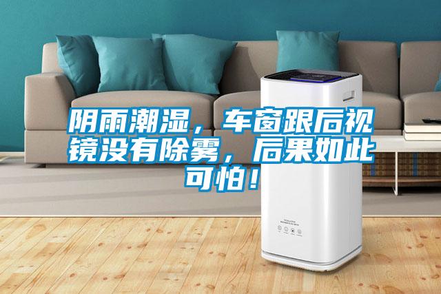 陰雨潮濕，車窗跟后視鏡沒有除霧，后果如此可怕！