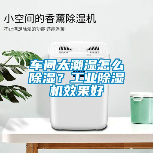 車間太潮濕怎么除濕？工業(yè)除濕機(jī)效果好