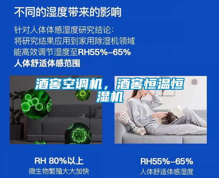 酒窖空調機,酒窖恒溫恒濕機