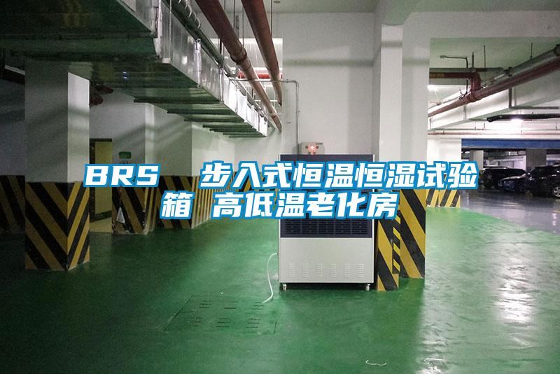 BRS 步入式恒溫恒濕試驗箱 高低溫老化房