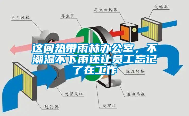 這間熱帶雨林辦公室，不潮濕不下雨還讓員工忘記了在工作