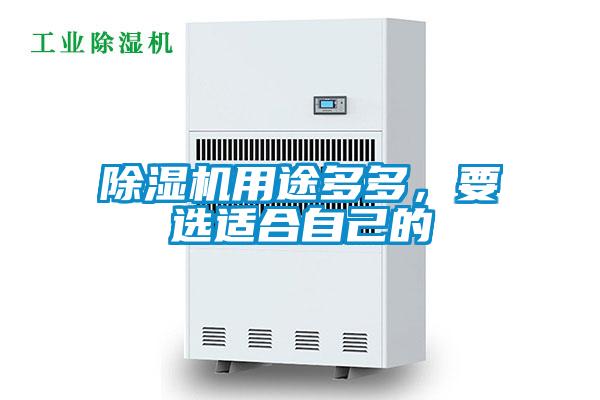 除濕機(jī)用途多多，要選適合自己的